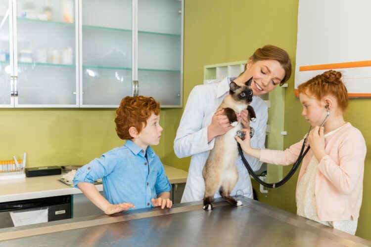 動物醫院該如何正確教育飼主，預先進行口碑行銷管理？
